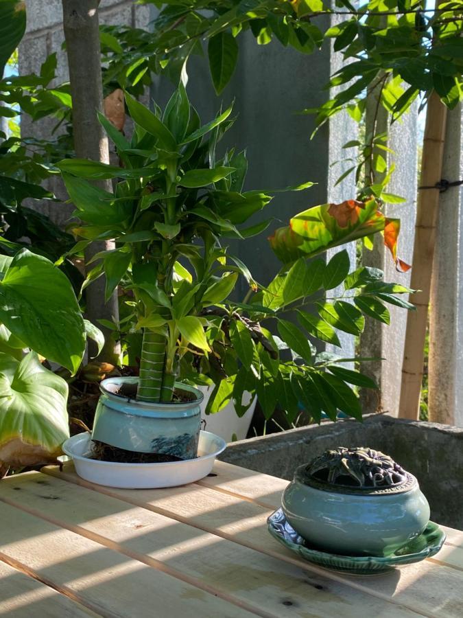 Laoxao Homestay Hội An Buitenkant foto