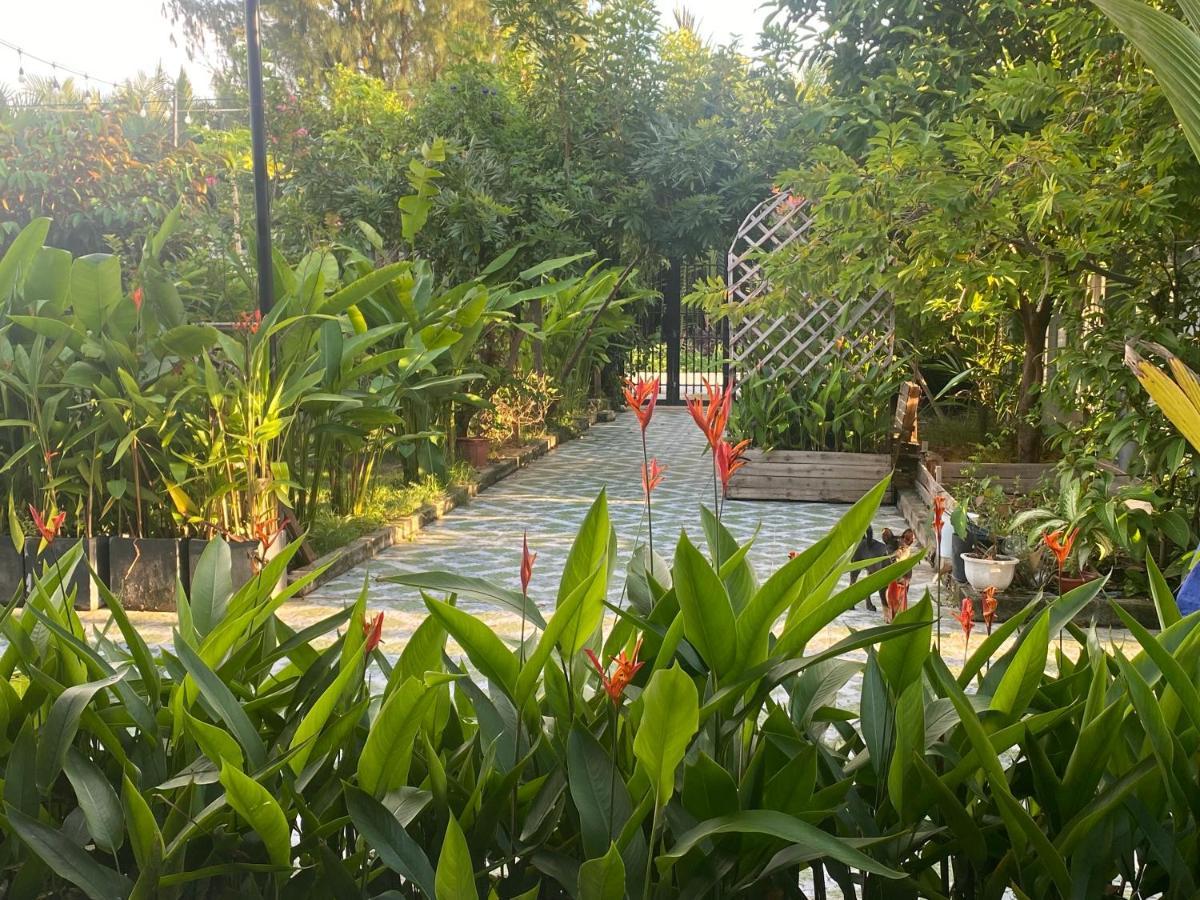 Laoxao Homestay Hội An Buitenkant foto