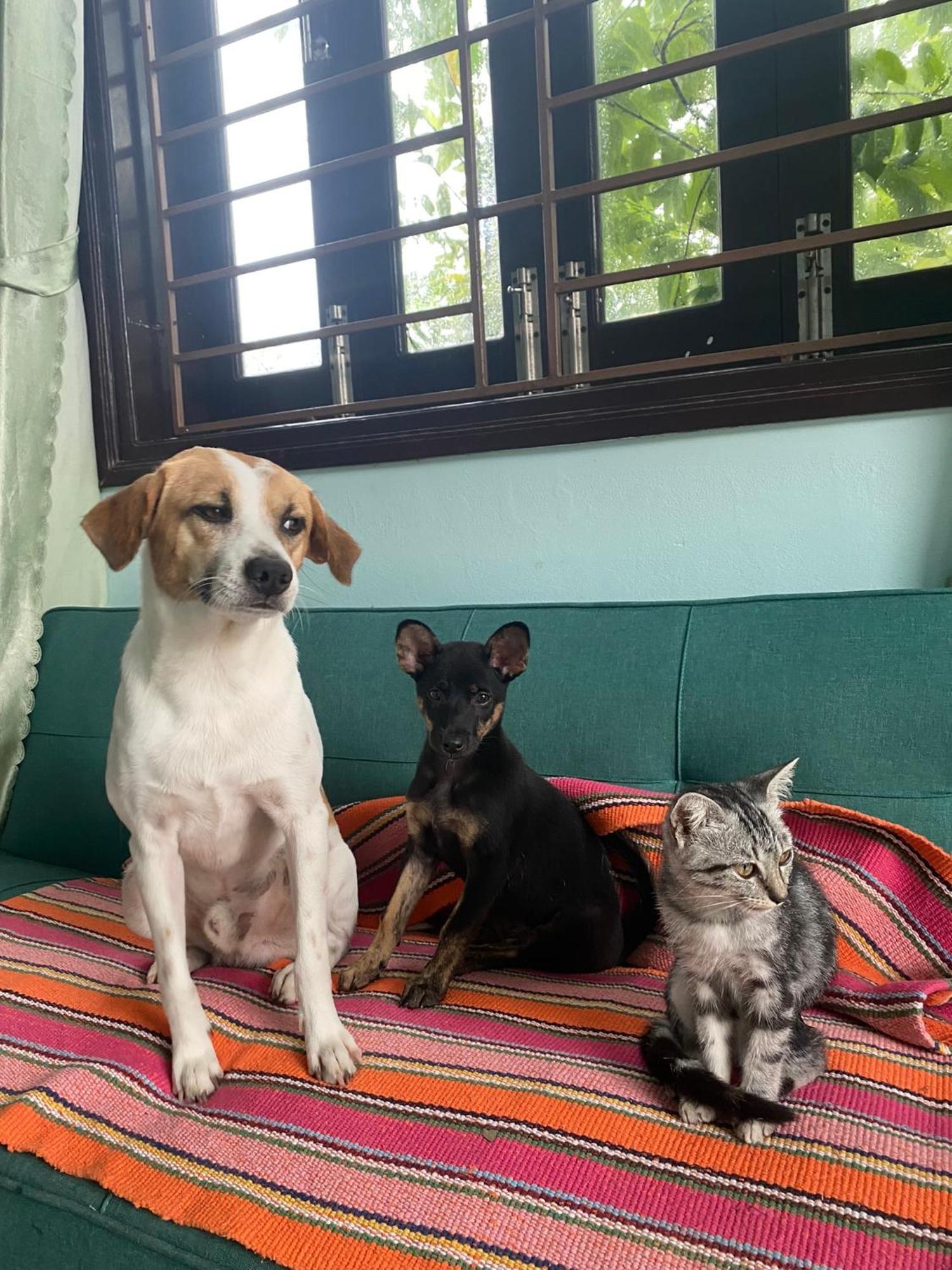 Laoxao Homestay Hội An Buitenkant foto